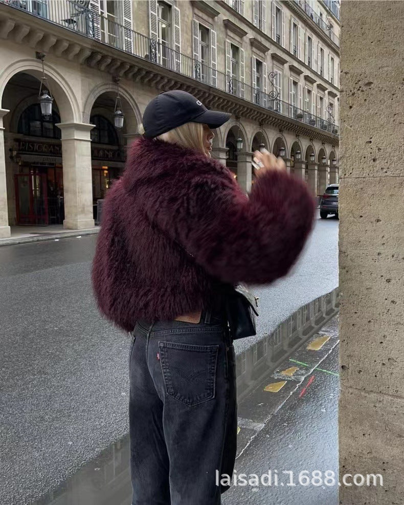 New European and American ladies fashion Joker environmental protection fur short coat
